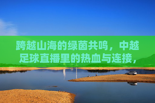 跨越山海的绿茵共鸣,中越足球直播里的热血与连接,中越足球直播,跨越山海的绿茵热血共鸣