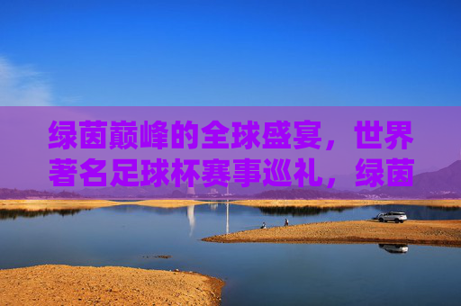 绿茵巅峰的全球盛宴，世界著名足球杯赛事巡礼，绿茵巅峰，世界足球杯赛事全球盛宴巡礼