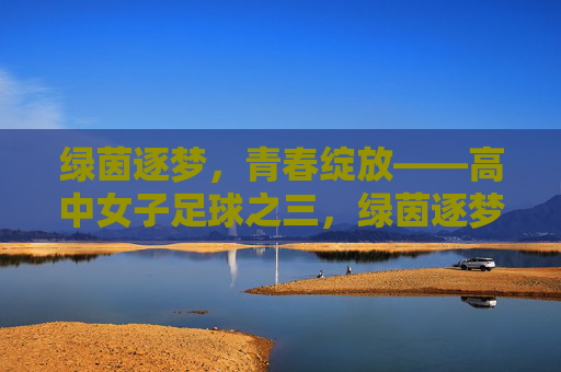 绿茵逐梦,青春绽放——高中女子足球之三,绿茵逐梦,青春绽放——高中女子足球