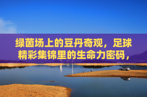 绿茵场上的豆丹奇观,足球精彩集锦里的生命力密码,绿茵场上的豆丹奇观,足球的生命力密码