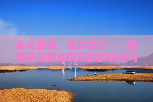 秦风绿茵,逐梦前行——陕西天驹足球俱乐部的赤诚与坚守,秦风绿茵逐梦赤诚坚守——陕西天驹