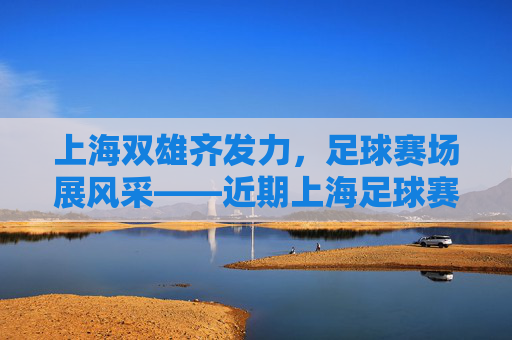上海双雄齐发力,足球赛场展风采——近期上海足球赛况综述,上海双雄齐发力,足球赛况展风采