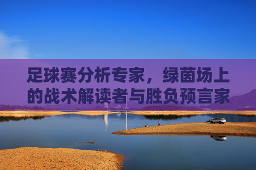 足球赛分析专家,绿茵场上的战术解读者与胜负预言家,绿茵场战术解读者与胜负预言家