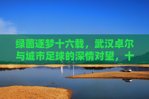 绿茵逐梦十六载,武汉卓尔与城市足球的深情对望,十六载绿茵逐梦,武汉卓尔与城市足球深情对望