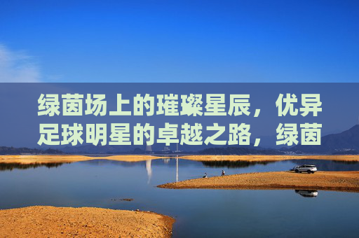 绿茵场上的璀璨星辰，优异足球明星的卓越之路，绿茵星辰，足球明星的卓越之路