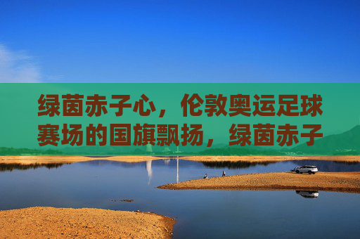 绿茵赤子心,伦敦奥运足球赛场的国旗飘扬,绿茵赤子心,伦敦奥运赛场国旗飘扬