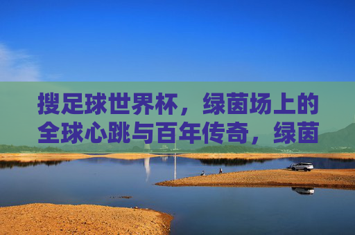 搜足球世界杯，绿茵场上的全球心跳与百年传奇，绿茵心跳，百年传奇，足球世界杯的全球脉动