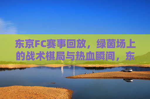 东京FC赛事回放,绿茵场上的战术棋局与热血瞬间,东京FC赛事回放,绿茵场战术博弈与热血瞬间