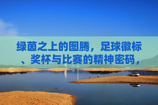 绿茵之上的图腾,足球徽标、奖杯与比赛的精神密码,绿茵图腾,足球徽标、奖杯与赛场精神密码