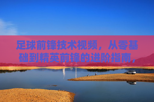 足球前锋技术视频，从零基础到精英前锋的进阶指南，足球前锋技术，从零基础到精英进阶指南
