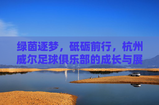 绿茵逐梦,砥砺前行,杭州威尔足球俱乐部的成长与展望,杭州威尔足球俱乐部,逐梦绿茵砥砺前行