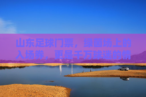 山东足球门票,绿茵场上的入场券,更是千万球迷的情怀票,山东足球门票,绿茵场入场券,千万球迷情怀票