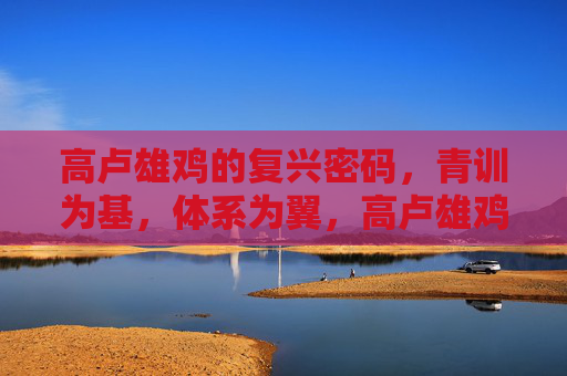 高卢雄鸡的复兴密码，青训为基，体系为翼，高卢雄鸡复兴密码，青训为基，体系为翼