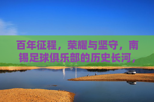百年征程,荣耀与坚守,南锡足球俱乐部的历史长河,南锡百年征程,荣耀与坚守的足球史诗