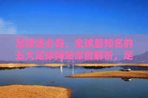 足球迷必备，全球最知名的五大足球网站深度解析，足球迷必备，全球五大知名足球网站深度解析