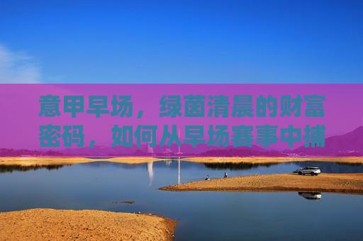 意甲早场,绿茵清晨的财富密码,如何从早场赛事中捕捉价值?