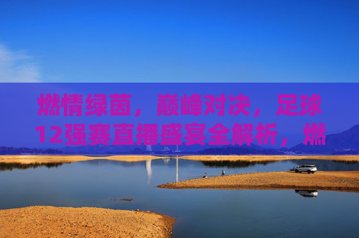 燃情绿茵,巅峰对决,足球12强赛直播盛宴全解析,燃情巅峰对决,12强赛直播盛宴全解析