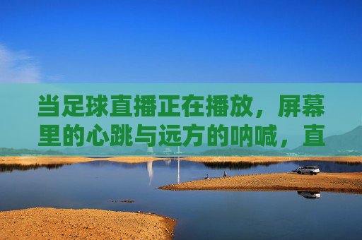 当足球直播正在播放,屏幕里的心跳与远方的呐喊,直播心跳,远方呐喊