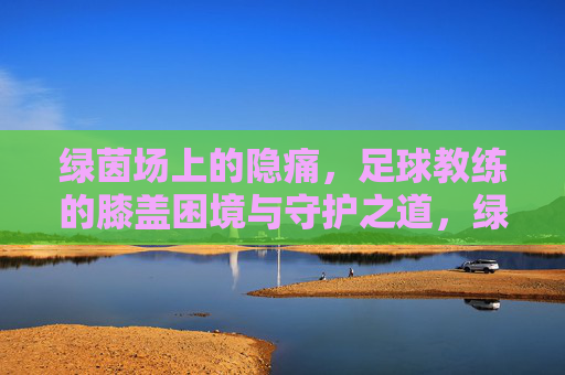 绿茵场上的隐痛,足球教练的膝盖困境与守护之道,绿茵场上的隐痛,足球教练膝盖困境与守护