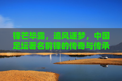 锋芒毕露,追风逐梦,中国足坛著名前锋的传奇与传承,锋芒逐梦,中国足坛前锋的传奇与传承