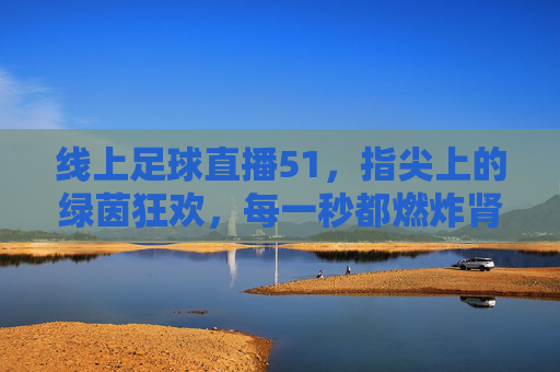 线上足球直播51，指尖上的绿茵狂欢，每一秒都燃炸肾上腺素，指尖上的绿茵狂欢