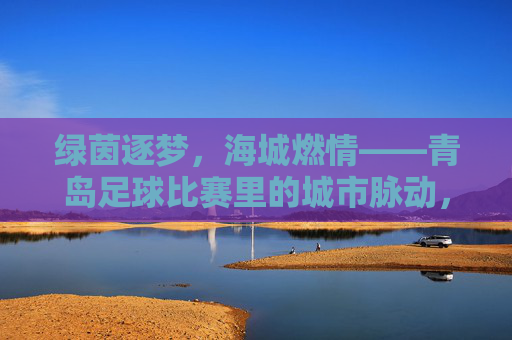 绿茵逐梦，海城燃情——青岛足球比赛里的城市脉动，青岛绿茵脉动，足球燃情中的城市心跳