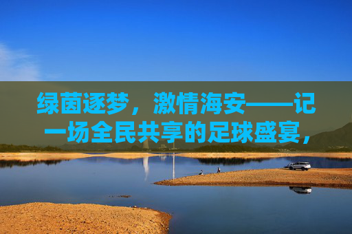 绿茵逐梦，激情海安——记一场全民共享的足球盛宴，绿茵逐梦，激情海安，全民共享足球盛宴