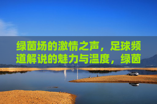 绿茵场的激情之声,足球频道解说的魅力与温度,绿茵场的声与暖,足球解说的魅力回响