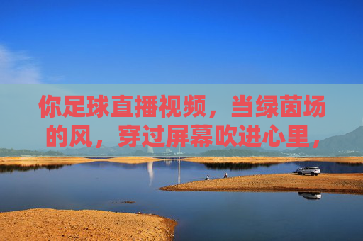 你足球直播视频,当绿茵场的风,穿过屏幕吹进心里,绿茵风穿屏入心,足球直播