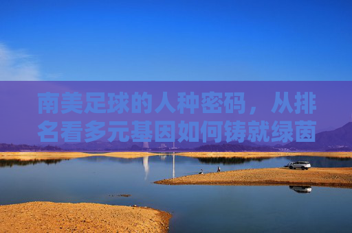 南美足球的人种密码,从排名看多元基因如何铸就绿茵传奇,南美足球的人种密码,多元基因铸就绿茵传奇
