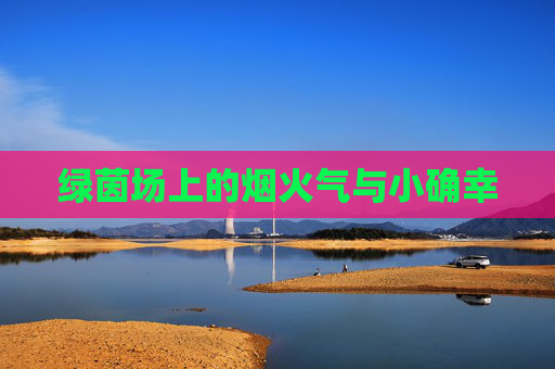 绿茵场上的烟火气与小确幸