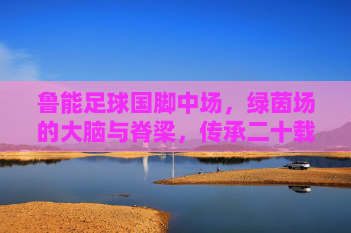 鲁能足球国脚中场，绿茵场的大脑与脊梁，传承二十载的钢铁之心，鲁能国脚中场，二十载传承的绿茵大脑与钢铁脊梁
