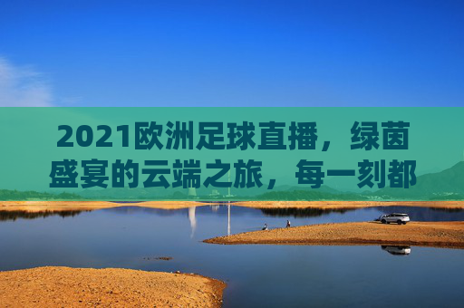 2021欧洲足球直播，绿茵盛宴的云端之旅，每一刻都值得铭记，2021欧洲足球直播，云端绿茵盛宴，每一刻值得铭记