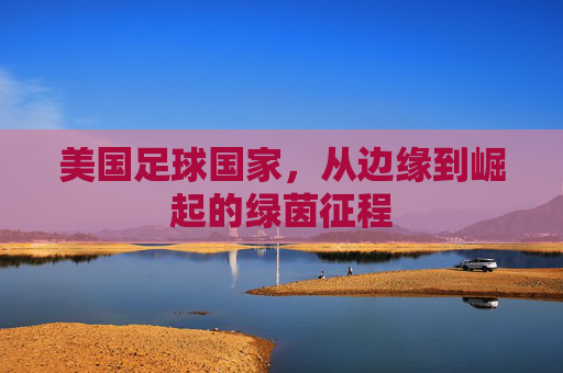 美国足球国家,从边缘到崛起的绿茵征程