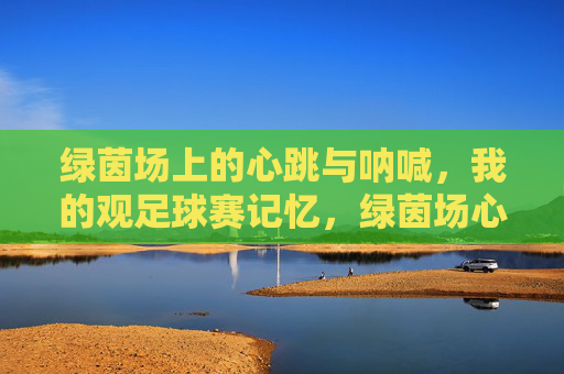 绿茵场上的心跳与呐喊，我的观足球赛记忆，绿茵场心跳与呐喊，我的观赛记忆