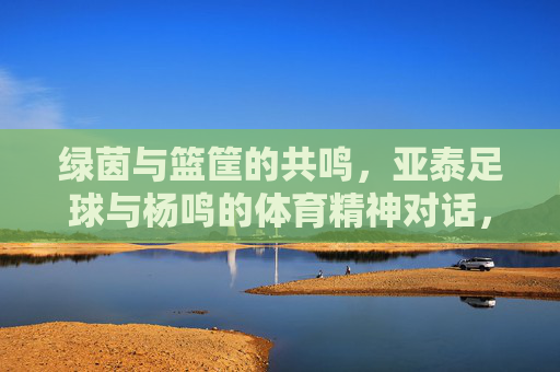 绿茵与篮筐的共鸣,亚泰足球与杨鸣的体育精神对话,绿茵篮筐的共鸣,亚泰足球与杨鸣的体育精神对话