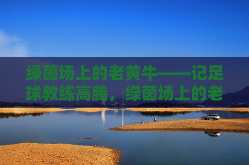 绿茵场上的老黄牛——记足球教练高腾，绿茵场上的老黄牛——足球教练高腾