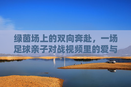 绿茵场上的双向奔赴,一场足球亲子对战视频里的爱与成长,绿茵场上的双向奔赴,亲子足球战里的爱与成长