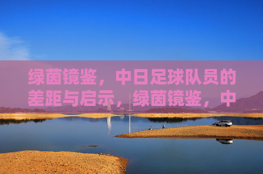 绿茵镜鉴，中日足球队员的差距与启示，绿茵镜鉴，中日球员差距与启示