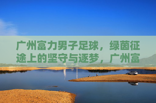 广州富力男子足球,绿茵征途上的坚守与逐梦,广州富力,绿茵征途的坚守与逐梦