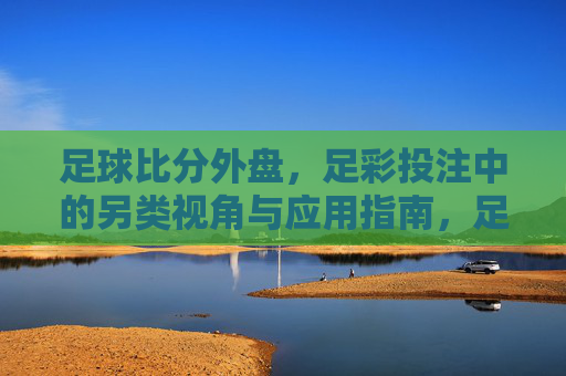 足球比分外盘,足彩投注中的另类视角与应用指南,足球比分外盘,足彩投注另类视角与应用指南