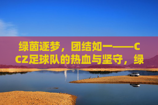 绿茵逐梦,团结如一——CCZ足球队的热血与坚守,绿茵逐梦,团结如一——CCZ足球队的热血与坚守