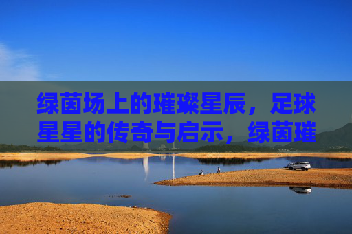 绿茵场上的璀璨星辰，足球星星的传奇与启示，绿茵璀璨，足球星辰的传奇启示