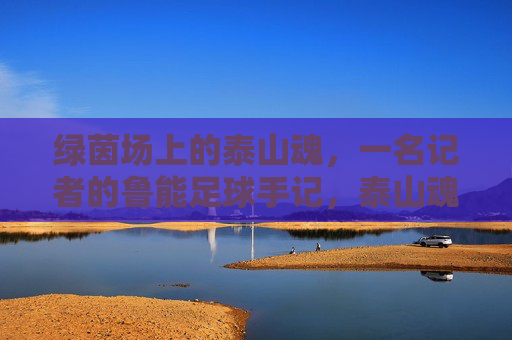 绿茵场上的泰山魂，一名记者的鲁能足球手记，泰山魂，鲁能足球记者的绿茵手记