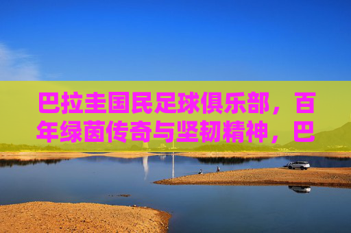 巴拉圭国民足球俱乐部，百年绿茵传奇与坚韧精神，巴拉圭国民足球俱乐部，百年绿茵坚韧传奇