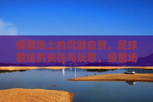 绿茵场上的沉默自责,足球教练的责任与反思,绿茵场上的沉默自责,足球教练的责任与反思