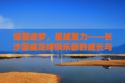 绿茵逐梦,星城聚力——长沙国威足球俱乐部的成长与担当,绿茵逐梦,星城聚力——长沙国威足球俱乐部的成长担当