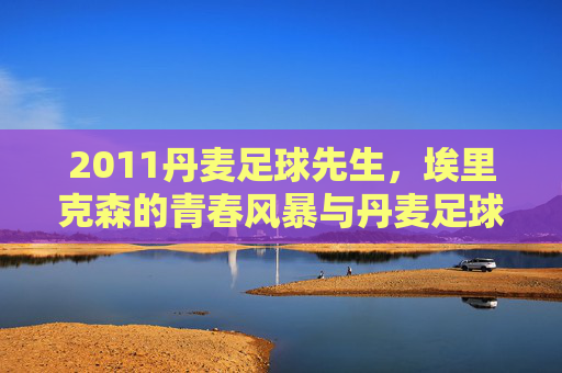 2011丹麦足球先生，埃里克森的青春风暴与丹麦足球的新图腾，2011丹麦足球先生埃里克森，青春风暴铸就丹麦足球新图腾