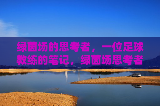 绿茵场的思考者,一位足球教练的笔记,绿茵场思考者,一位足球教练的笔记