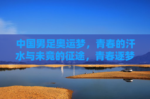 中国男足奥运梦,青春的汗水与未竟的征途,青春逐梦,征途未竟,中国男足奥运梦